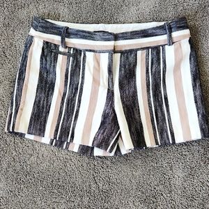 Loft Shorts